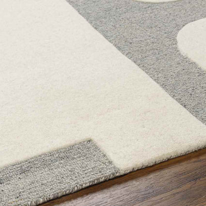 Guthrie Modern Light Gray/Beige Area Rug