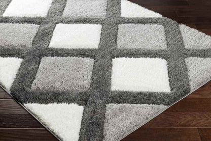 Ruthven Modern Ivory/Medium Gray Area Rug