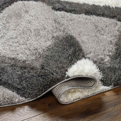 Ruthven Modern Ivory/Medium Gray Area Rug