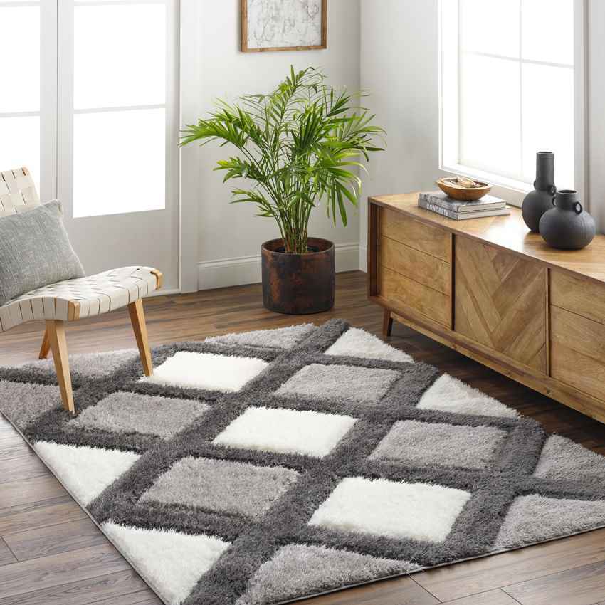 Ruthven Modern Ivory/Medium Gray Area Rug