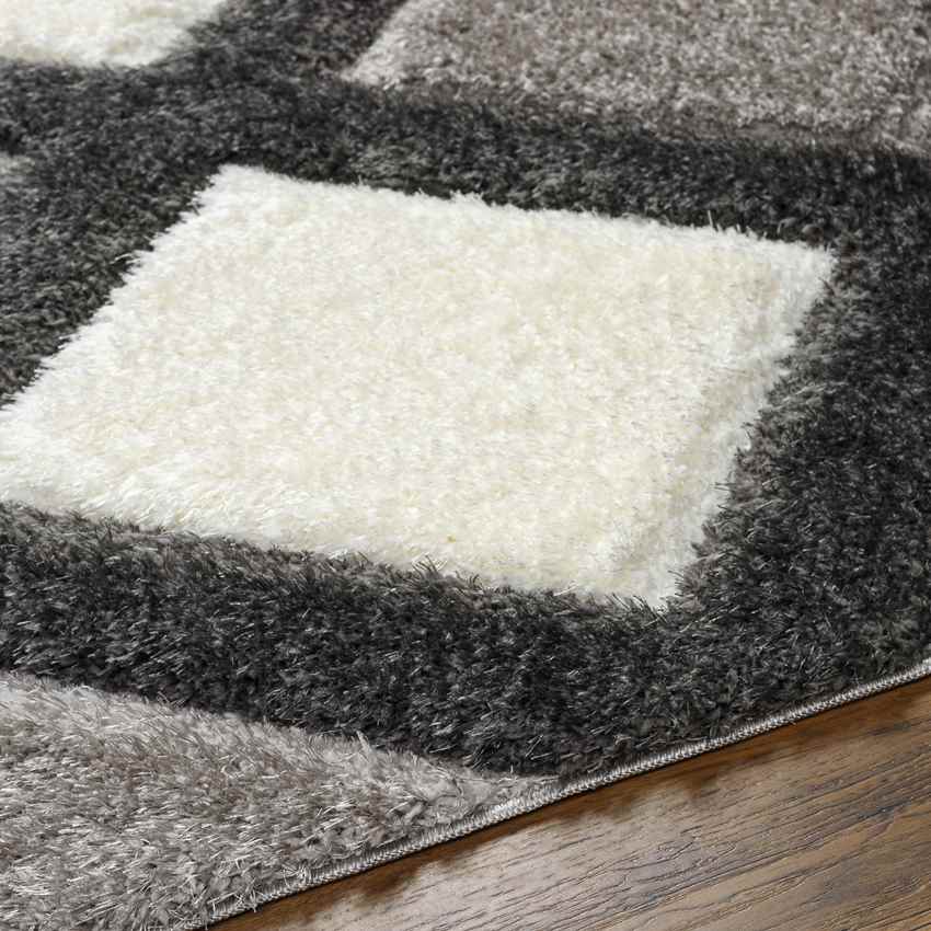 Ruthven Modern Ivory/Medium Gray Area Rug