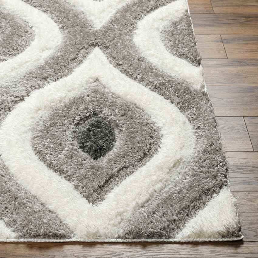 Salina Modern Dark Brown/Ivory Area Rug