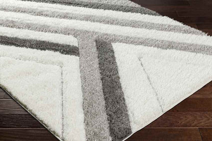 Savonburg Modern Ivory/Light Gray Area Rug