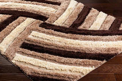 Seely Modern Dark Brown Area Rug
