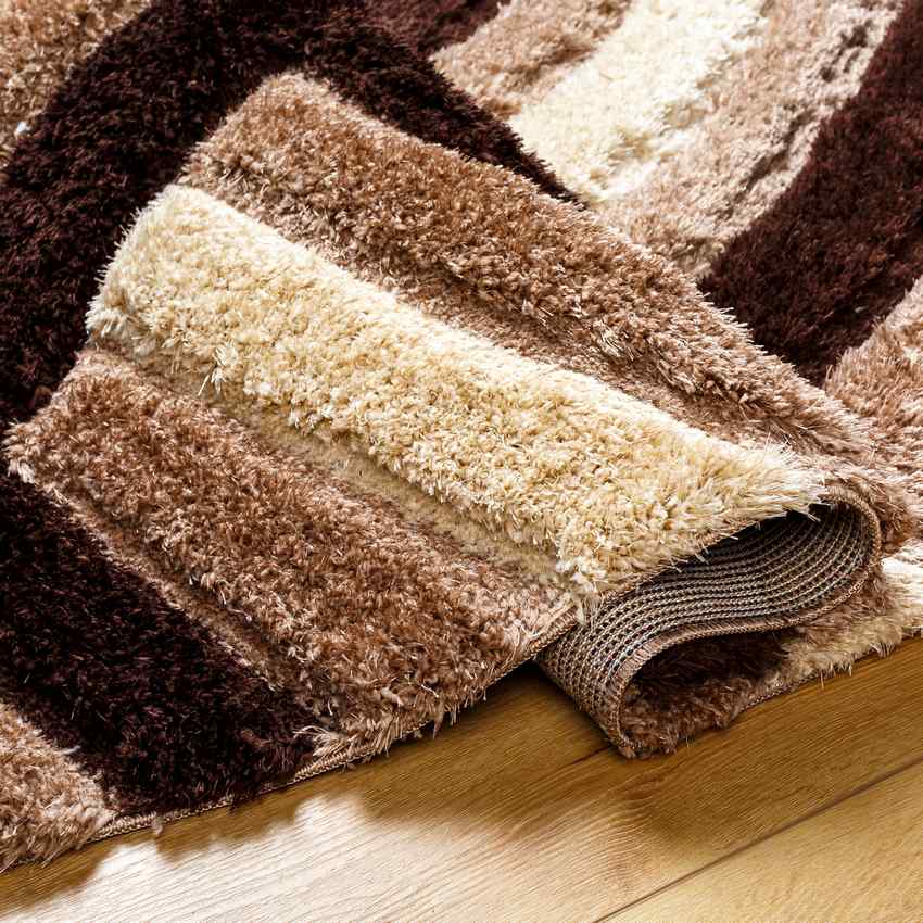 Seely Modern Dark Brown Area Rug