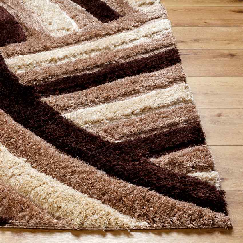 Seely Modern Dark Brown Area Rug