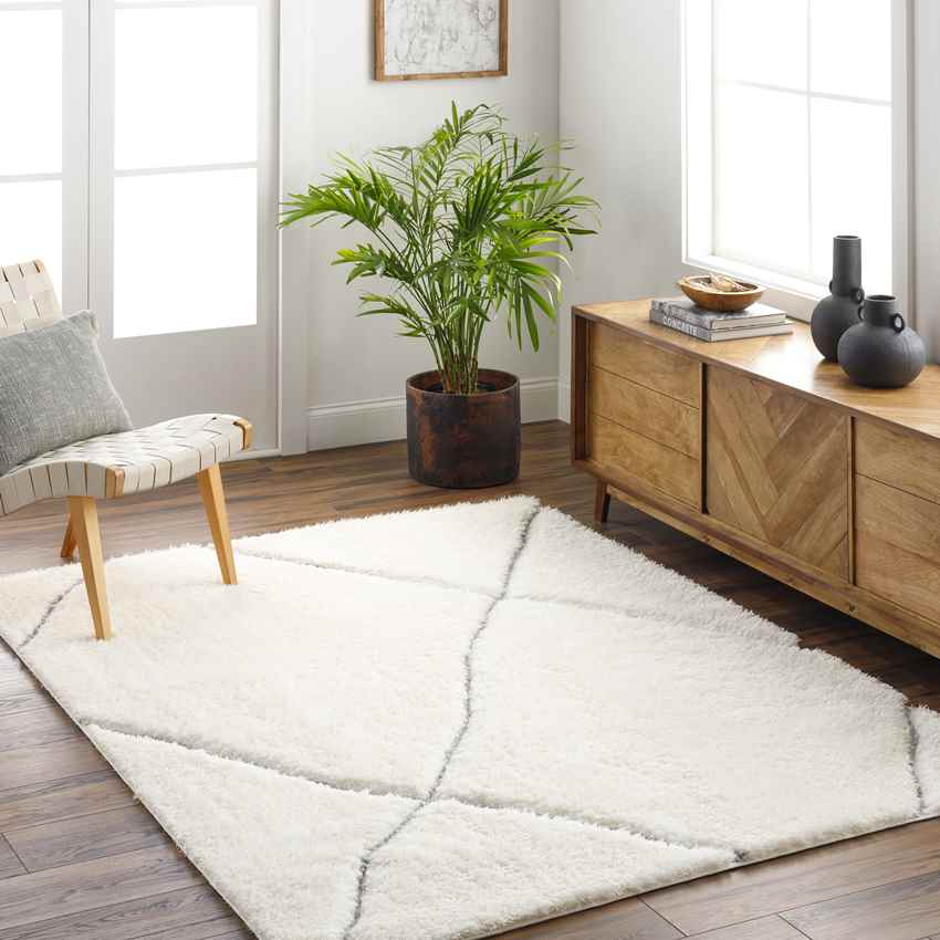 Selden Global Ivory/Light Gray Area Rug