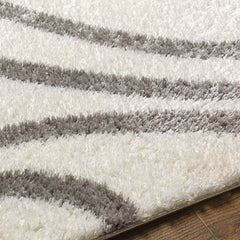 Bouton Modern Ivory Area Rug