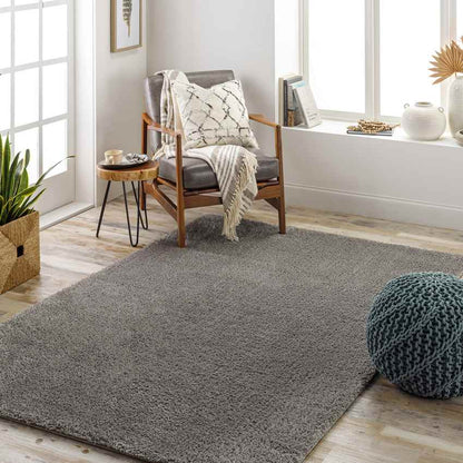 Boxholm Modern Dark Gray Area Rug