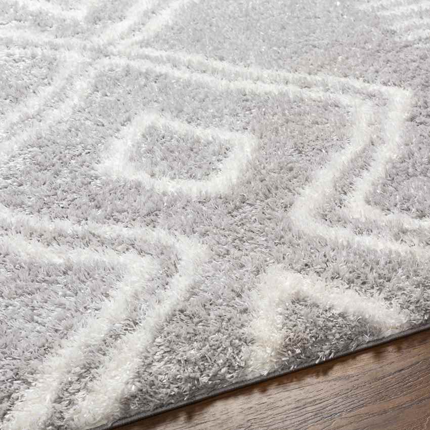 Brayton Global Gray Area Rug