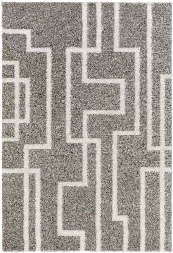 Brewster Modern Dark Gray Area Rug