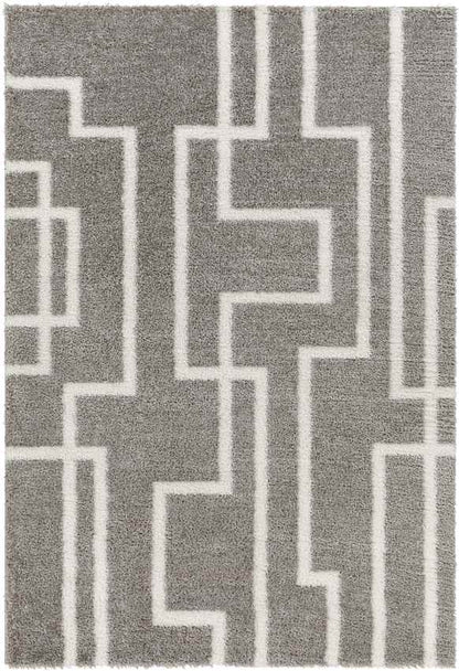 Brewster Modern Dark Gray Area Rug