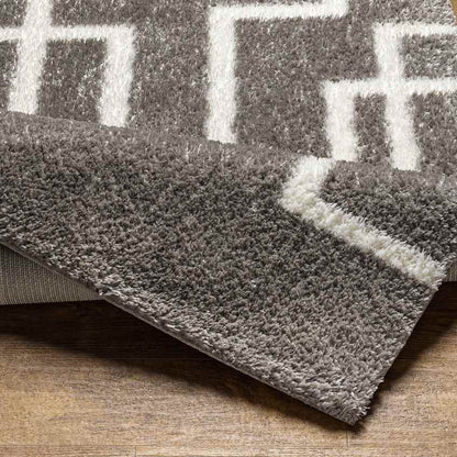 Brewster Modern Dark Gray Area Rug