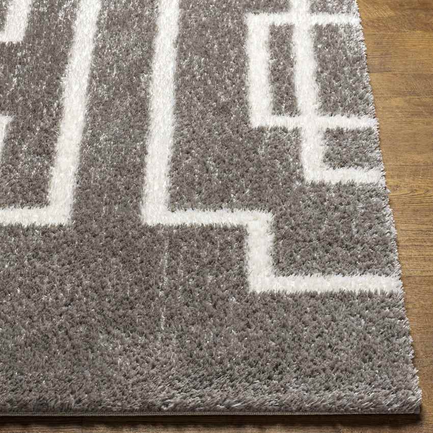Brewster Modern Dark Gray Area Rug