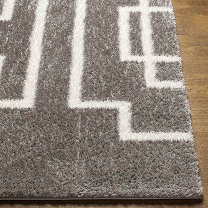 Brewster Modern Dark Gray Area Rug