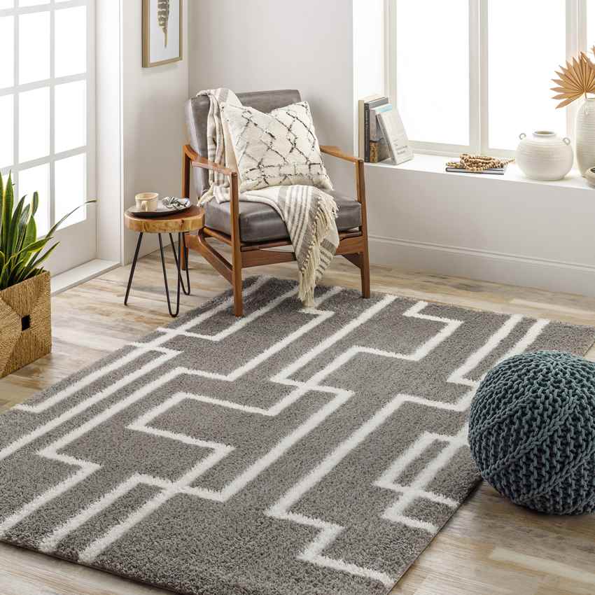 Brewster Modern Dark Gray Area Rug