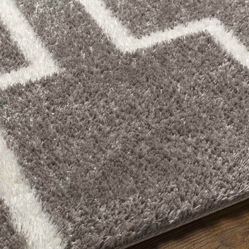 Brewster Modern Dark Gray Area Rug