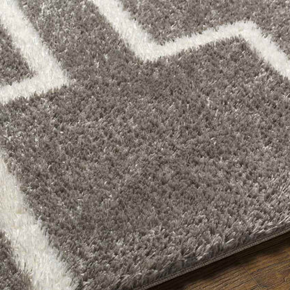 Brewster Modern Dark Gray Area Rug