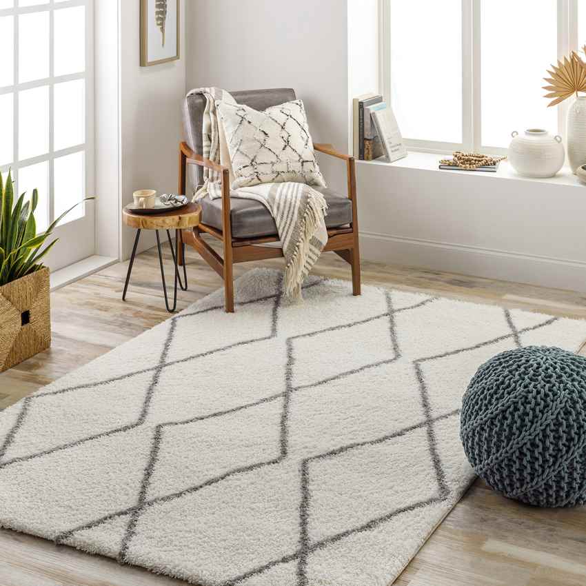 Bristow Modern Ivory Area Rug