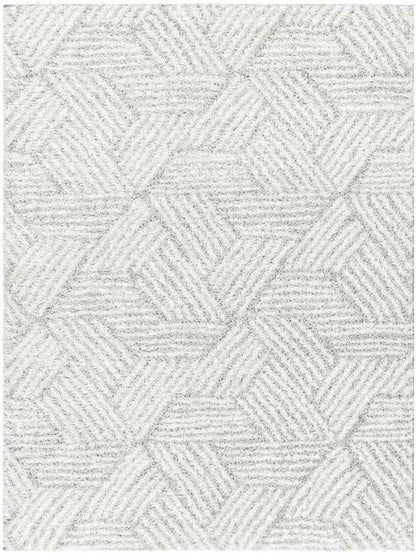 Brooke Modern Light Gray Area Rug