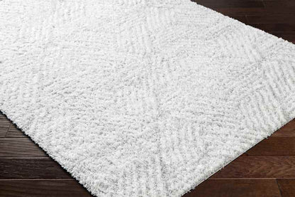 Brooke Modern Light Gray Area Rug