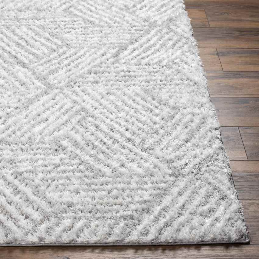 Brooke Modern Light Gray Area Rug