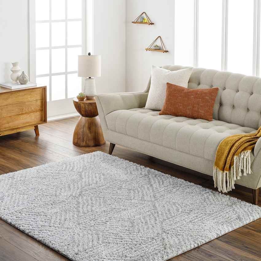 Brooke Modern Light Gray Area Rug
