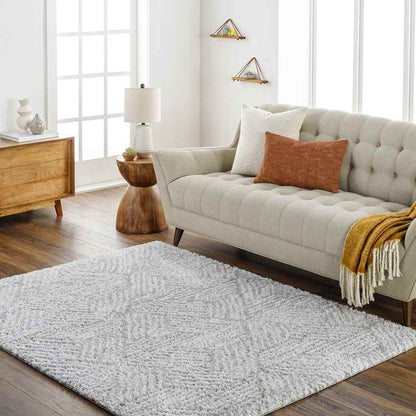 Brooke Modern Light Gray Area Rug