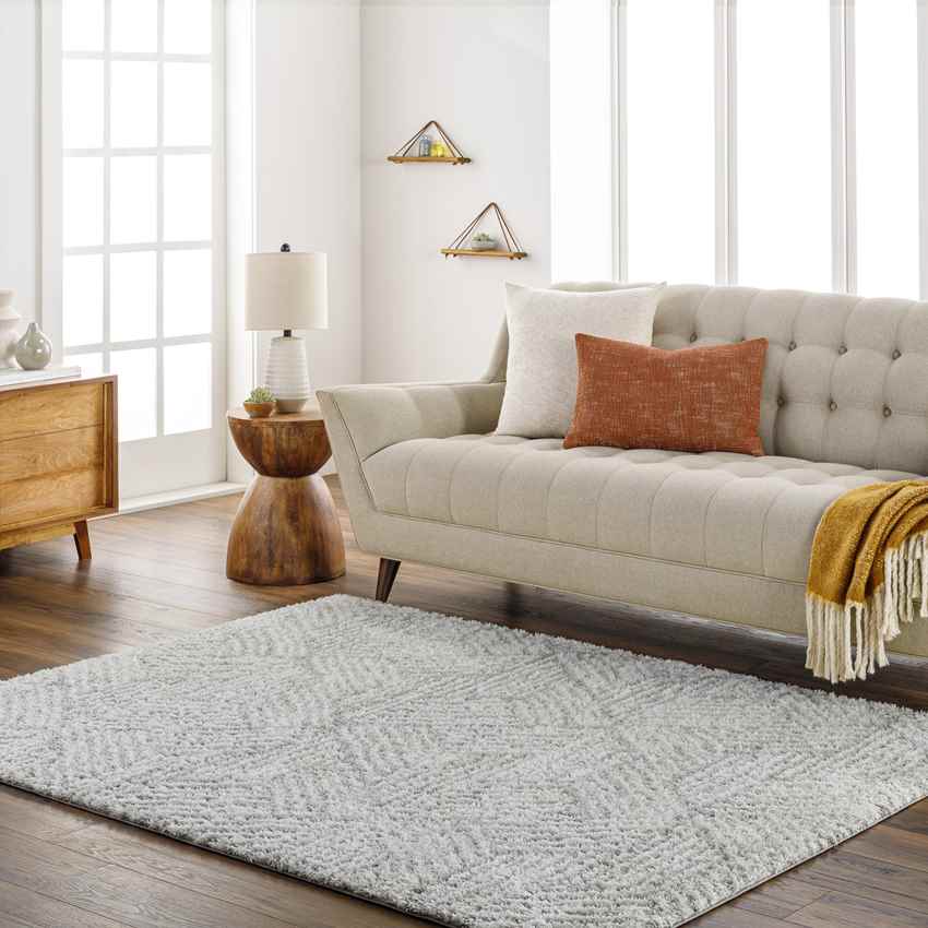 Brooke Modern Light Gray Area Rug