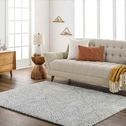 Brooke Modern Light Gray Area Rug