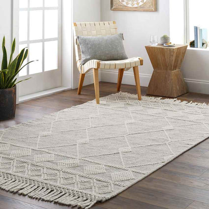 Coon Global Gray Area Rug