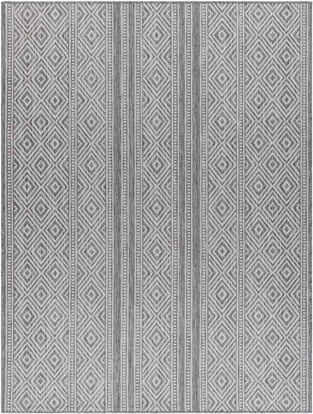Slater Global Charcoal Area Rug