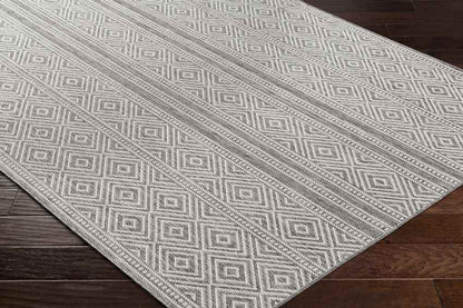 Slater Global Charcoal Area Rug