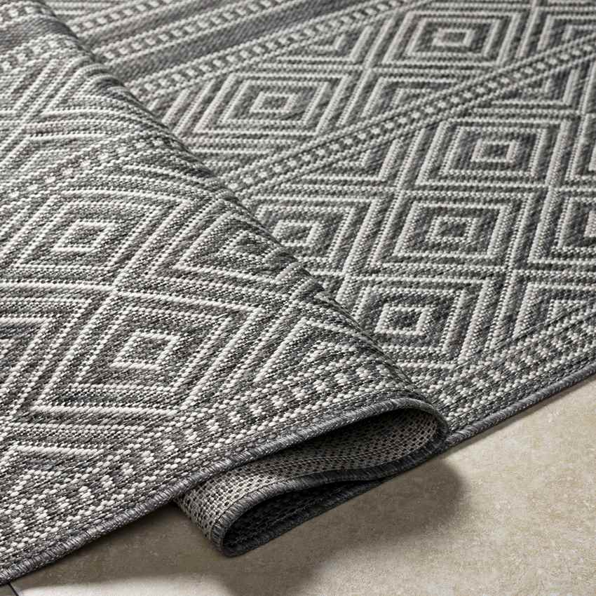 Slater Global Charcoal Area Rug