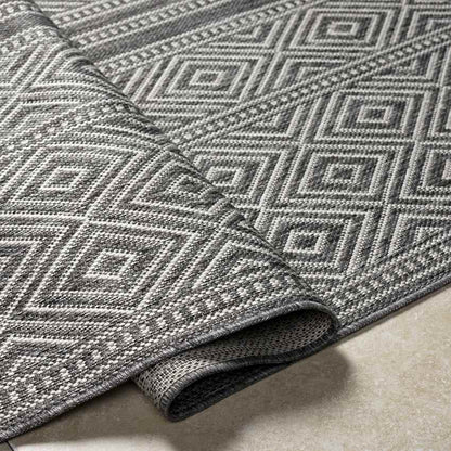 Slater Global Charcoal Area Rug
