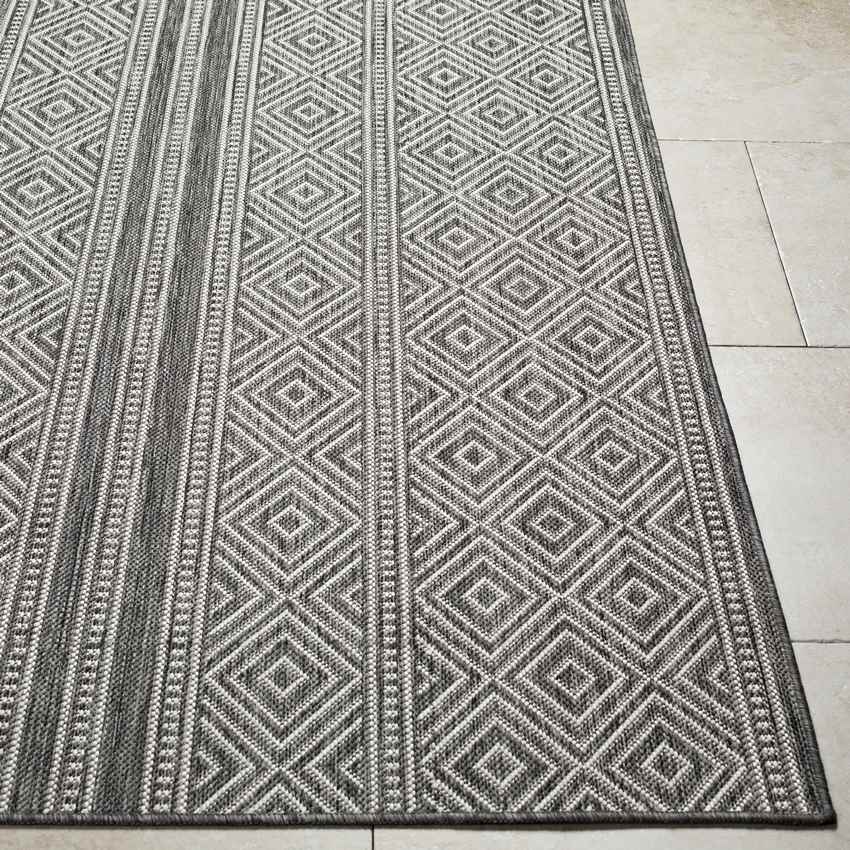 Slater Global Charcoal Area Rug