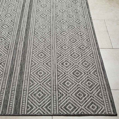 Slater Global Charcoal Area Rug