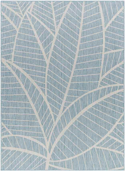 Smolan Coastal Light Teal Area Rug