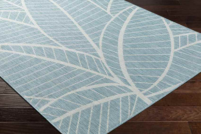 Smolan Coastal Light Teal Area Rug