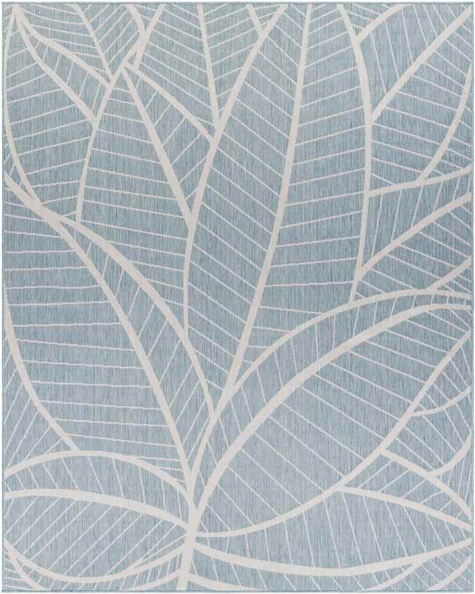 Smolan Coastal Light Teal Area Rug