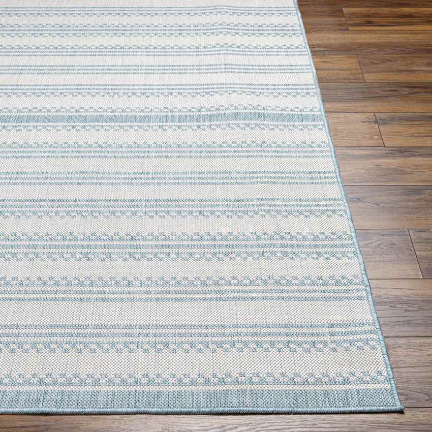 South Global Light Teal Area Rug