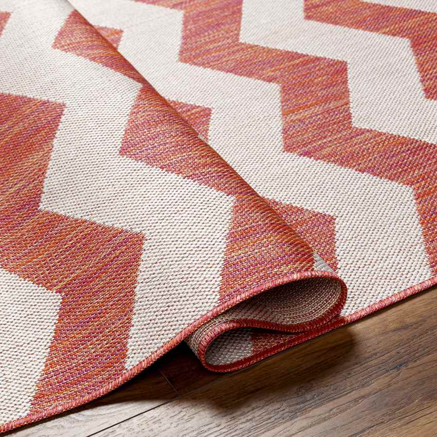 Spring Global Dark Coral/Ivory Area Rug