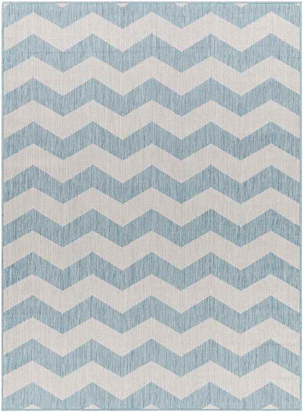 Spring Global Sky Blue/Ivory Area Rug