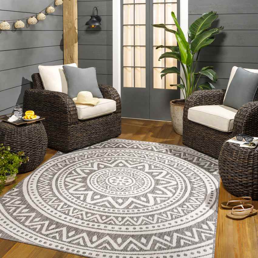 St Ansgar Global Medium/Silver Gray Area Rug