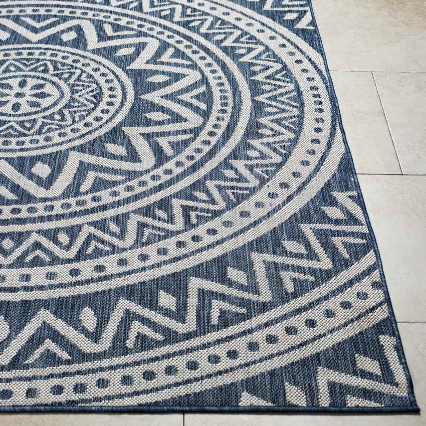 St Ansgar Global Navy/Silver Gray Area Rug