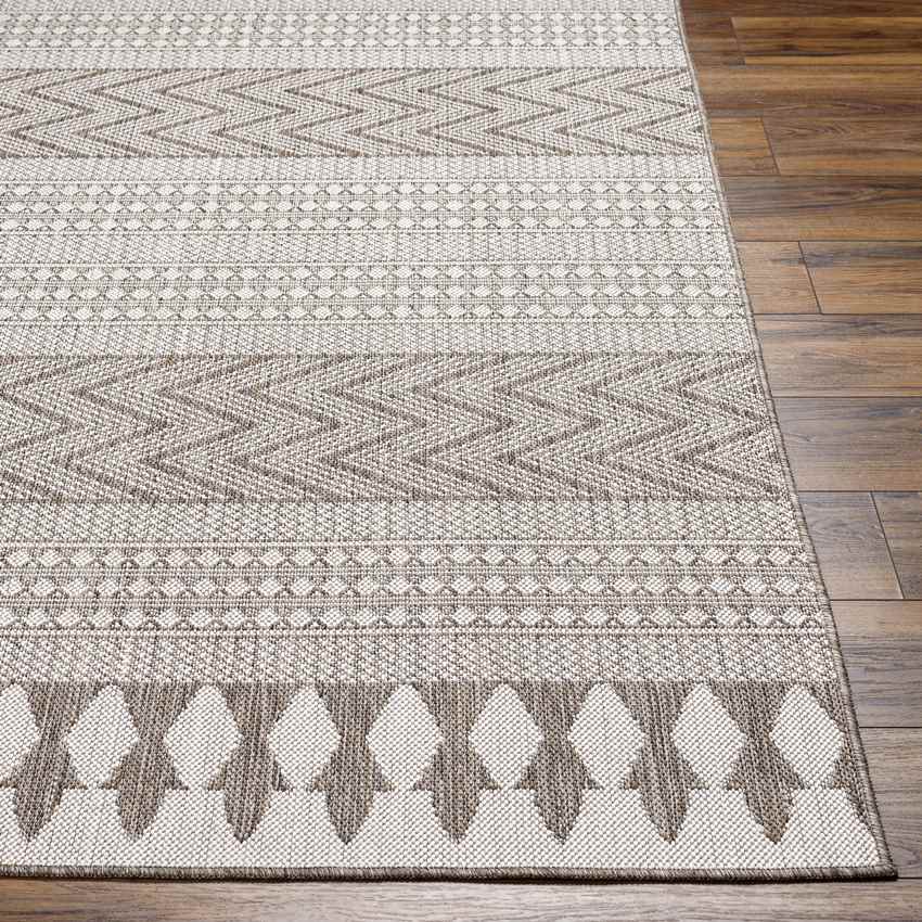St George Global Dark Brown/Cream Area Rug