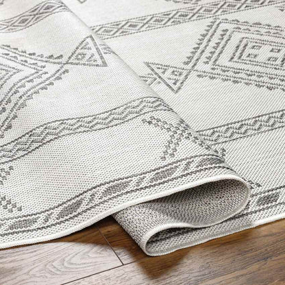 Susank Global Dark Gray/Silver Gray Area Rug