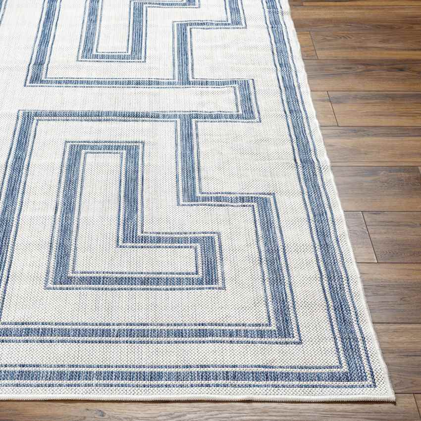Sylvia Global Ivory/Navy Area Rug