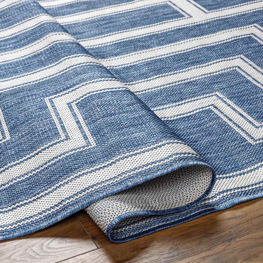 Sylvia Global Navy/Ivory Area Rug