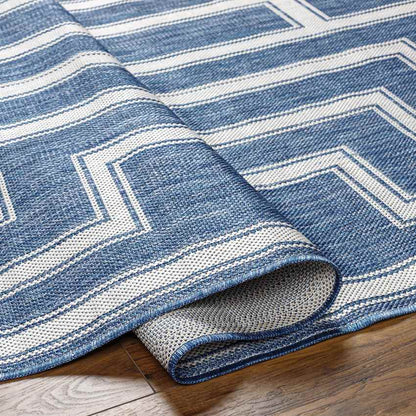 Sylvia Global Navy/Ivory Area Rug